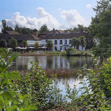 Frensham Pond Country House Hotel & Spa Фарнем Экстерьер фото